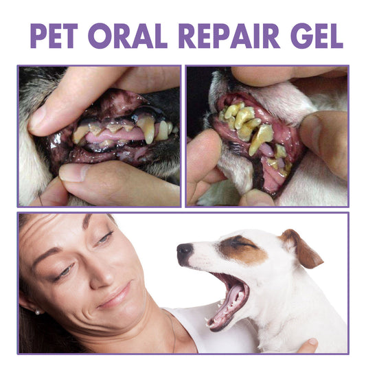 🔥 Kupite 1 – Drugi s 50% popusta!🦷🐾 Pet Oral Repair Gel – Prirodna dentalna njega za pse i mačke
