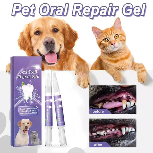 🔥 Kupite 1 – Drugi s 50% popusta!🦷🐾 Pet Oral Repair Gel – Prirodna dentalna njega za pse i mačke