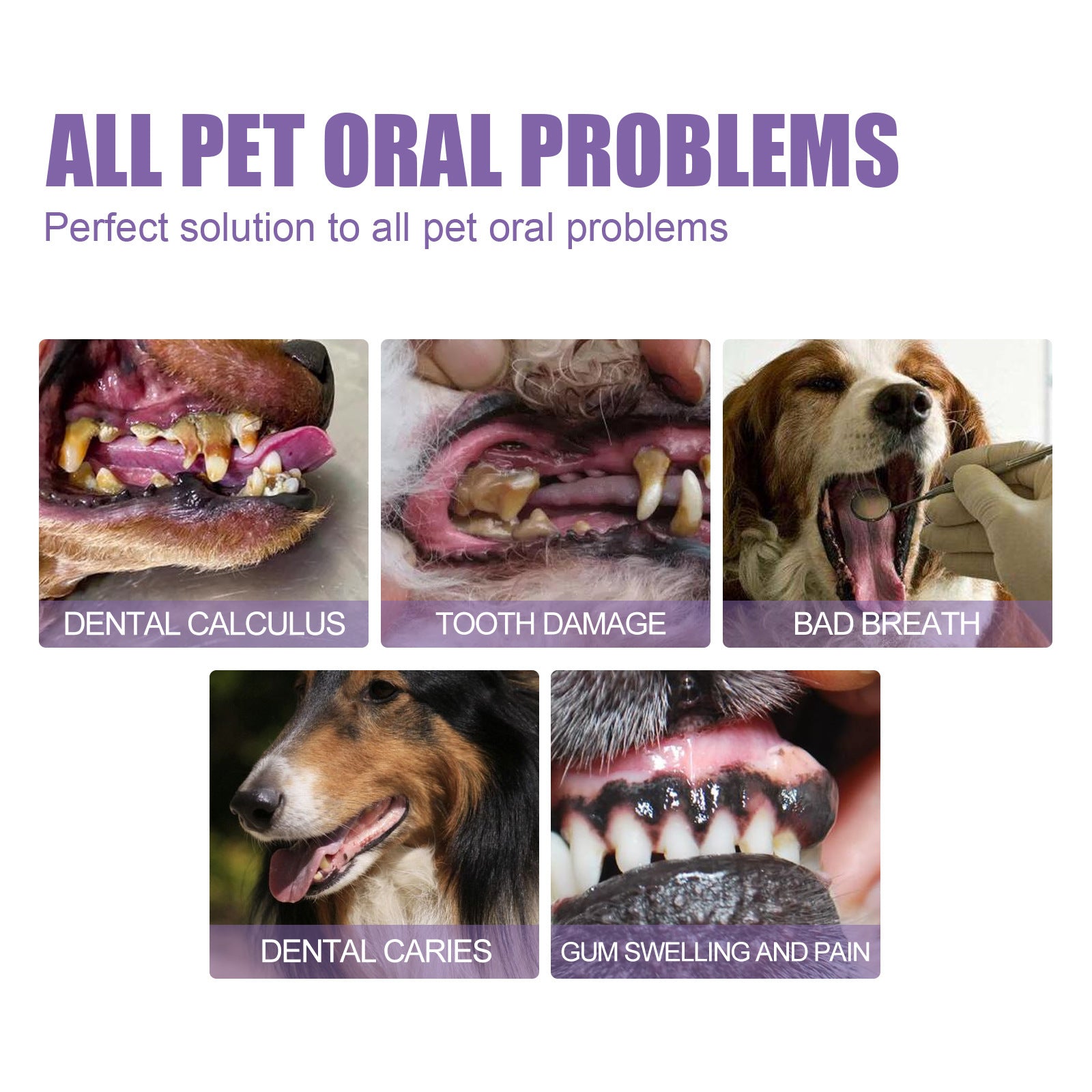 （🔥Kupi 1 dobi 1 gratis🔥） gel za oralnu higijenu kućnih ljubimaca
