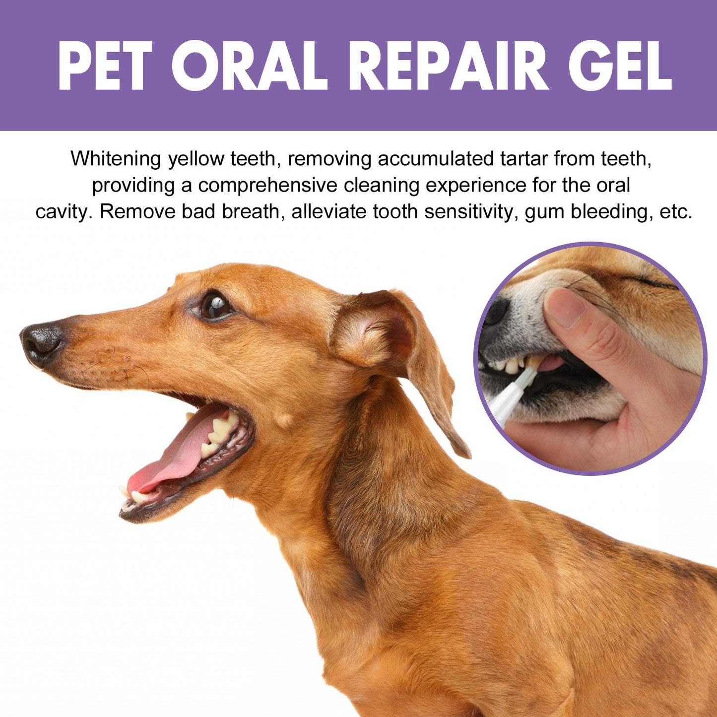 🔥 Kupite 1 – Drugi s 50% popusta!🦷🐾 Pet Oral Repair Gel – Prirodna dentalna njega za pse i mačke