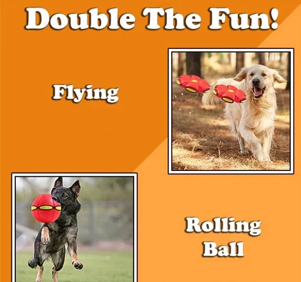 ?Flash Sale⚡ 50K+ SOLD! Almost Gone-??The Doggy Disc Ball?,Best Gifts