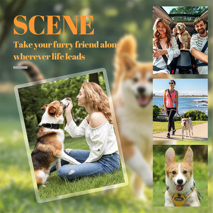 【🎁Božićna ponuda🎄】Privjesak za ključeve mog ljubimca