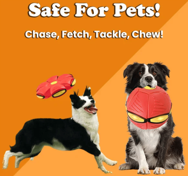 ?Flash Sale⚡ 50K+ SOLD! Almost Gone-??The Doggy Disc Ball?,Best Gifts