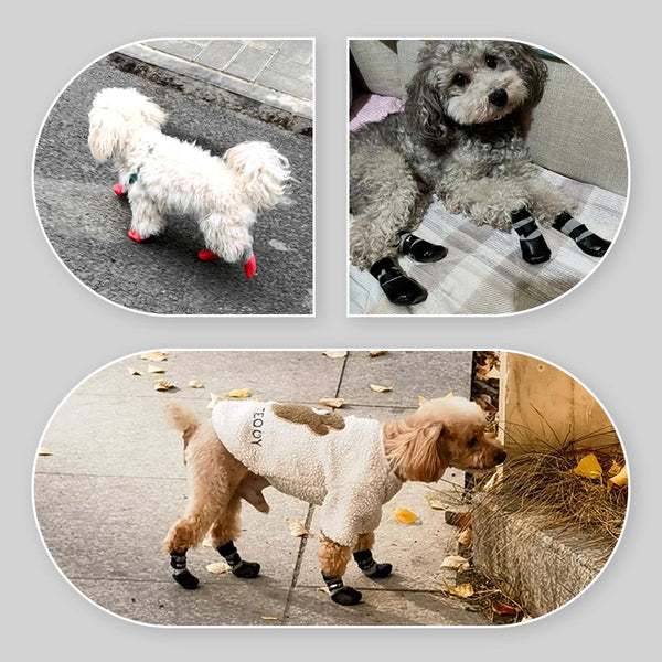 【🐶Izbor slatkih kućnih ljubimaca】🎉8 artikala neklizajućih vodootpornih čarapa za pse